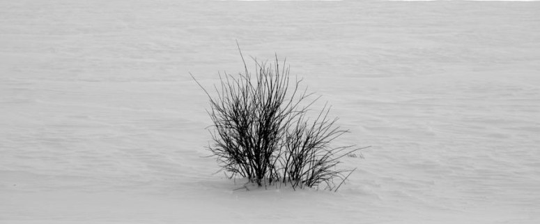 deep-breath-jerry-cordeiro