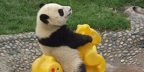 ff2bda18d8a8f6f202d0c9c7dd329863b0d33727_m